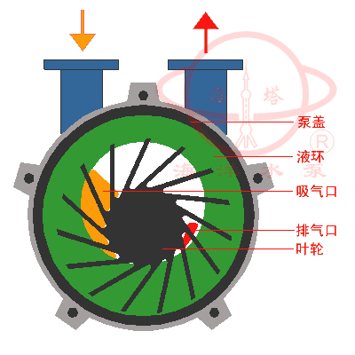 SKA(2BV)水環(huán)式真空泵結構圖及工作原理